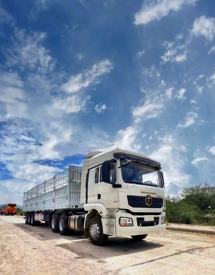 Transport de marchandises en vrac
